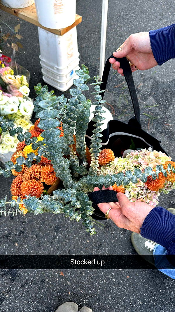 caroworld00 image ~ Altpins