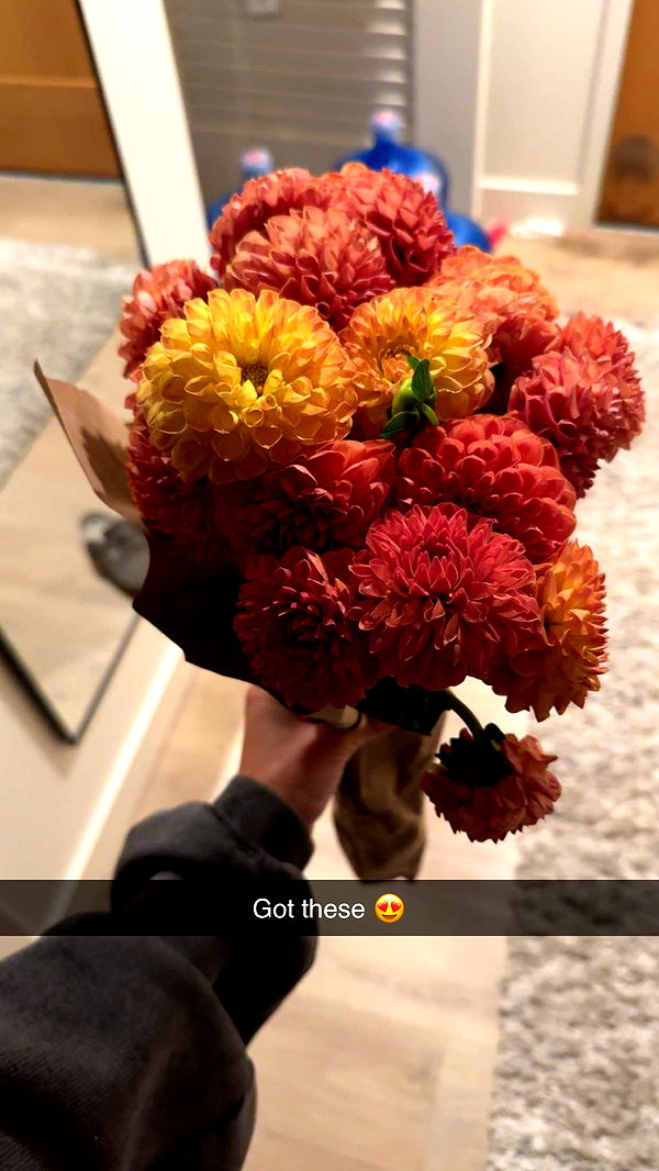 caroworld00 image ~ Altpins