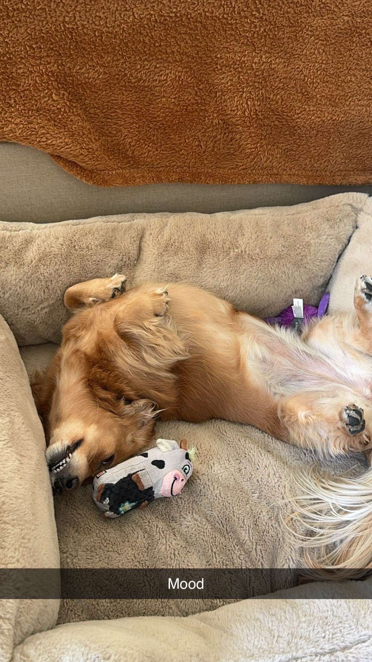 caroworld00 snapchat image archive image