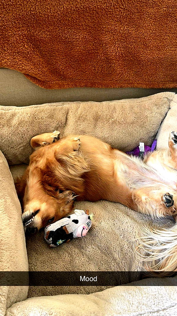 caroworld00 image ~ Altpins