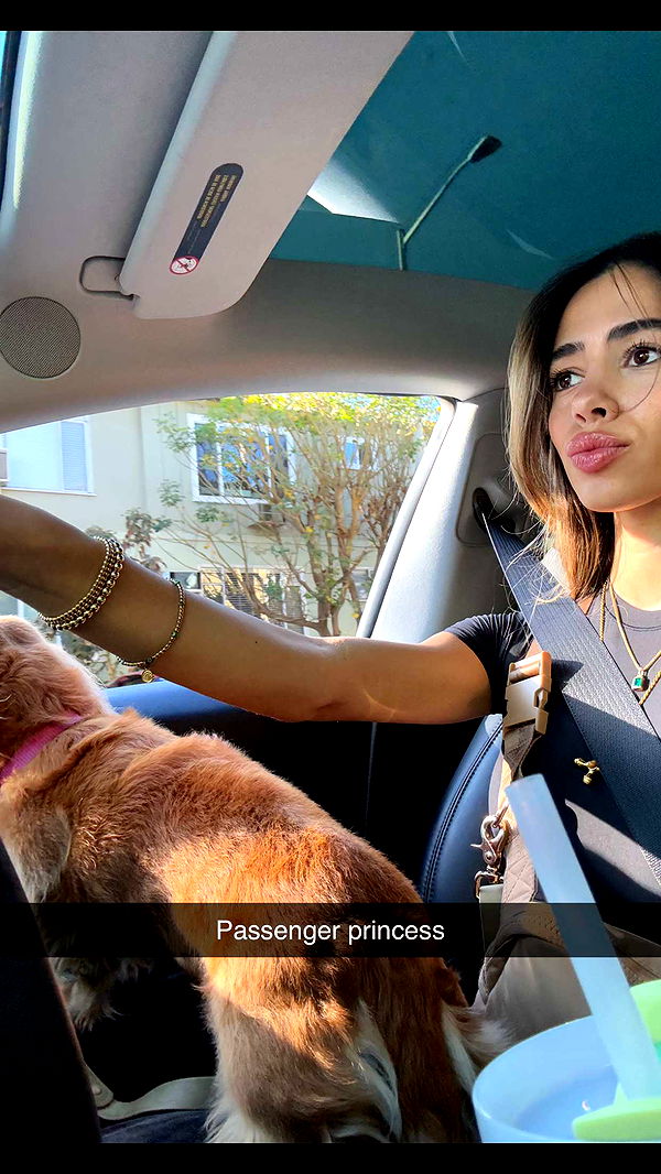 caroworld00 image ~ Altpins