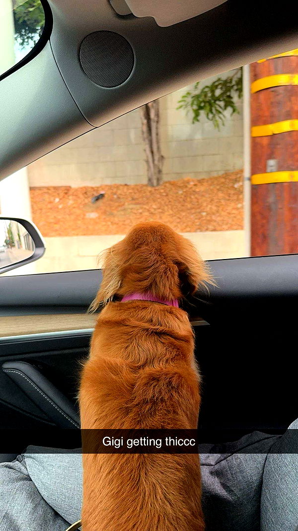 caroworld00 image ~ Altpins