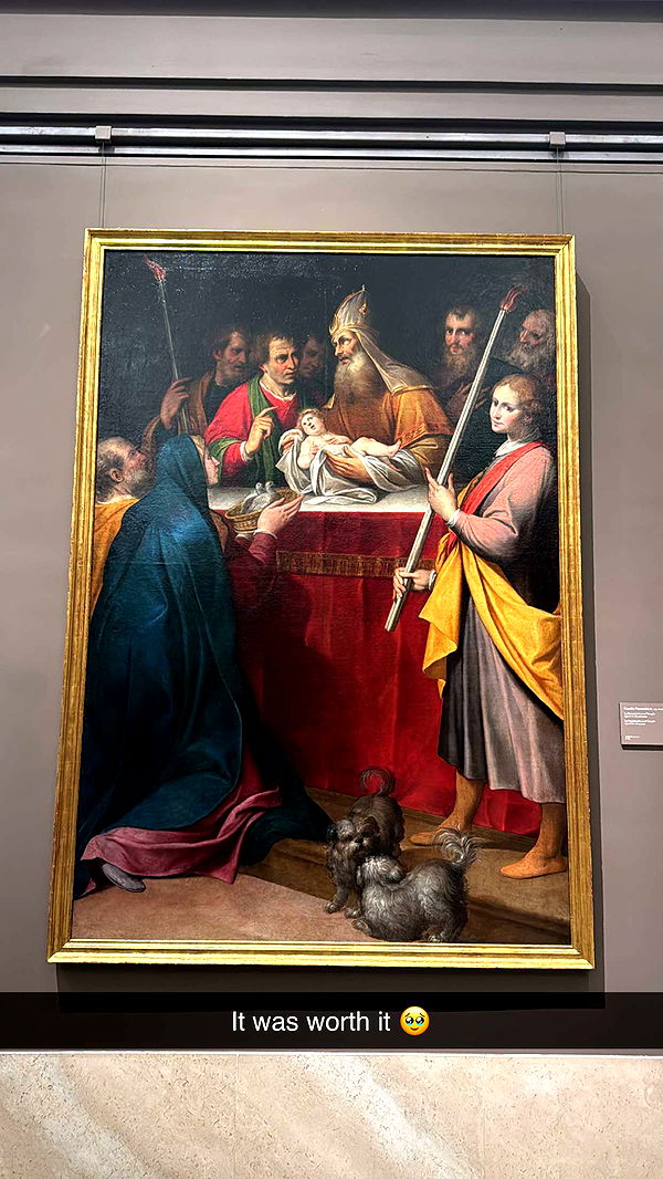 caroworld00 image ~ Altpins