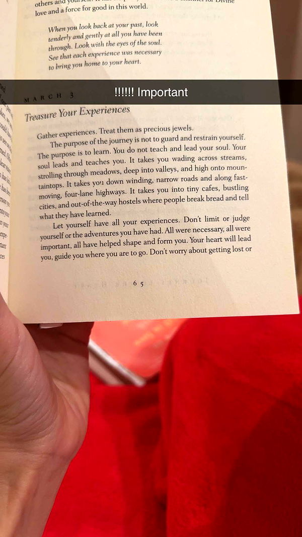 caroworld00 image ~ Altpins