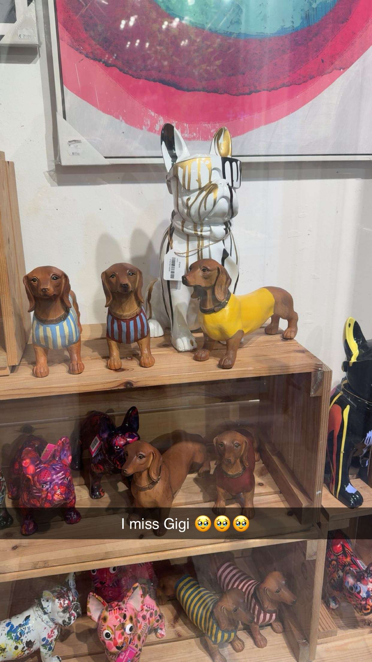 caroworld00 snapchat image archive image