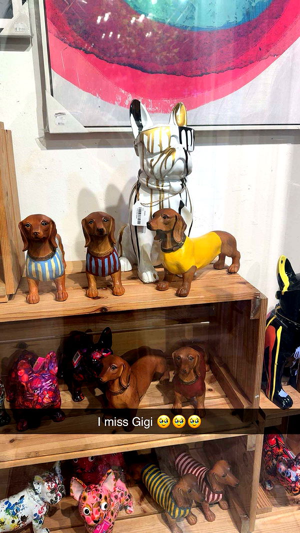 caroworld00 image ~ Altpins