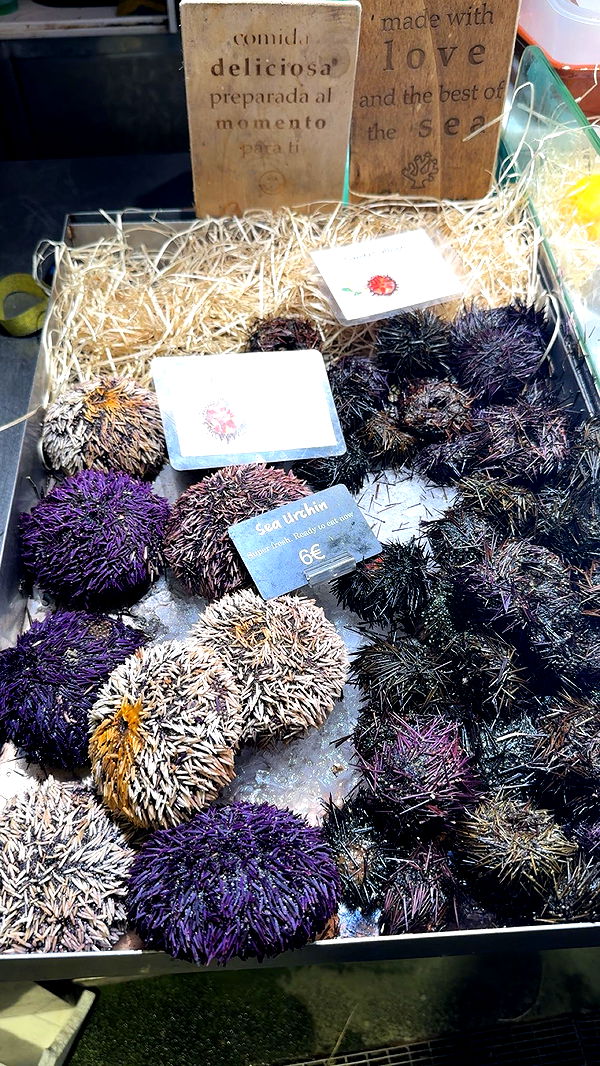 caroworld00 image ~ Altpins