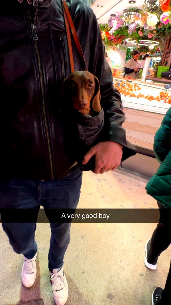 caroworld00 image ~ Altpins