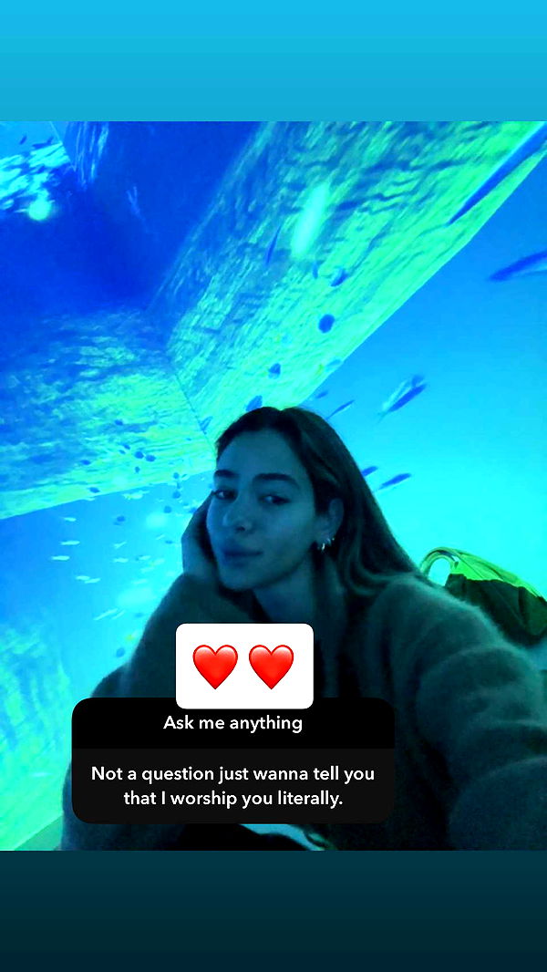 caroworld00 image ~ Altpins