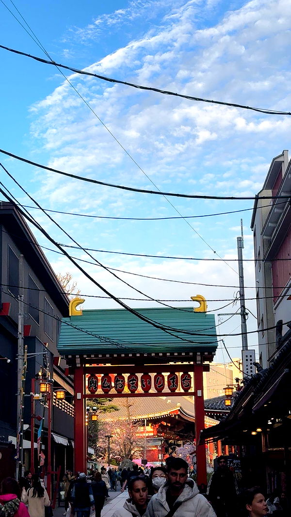 caroworld00 image ~ Altpins