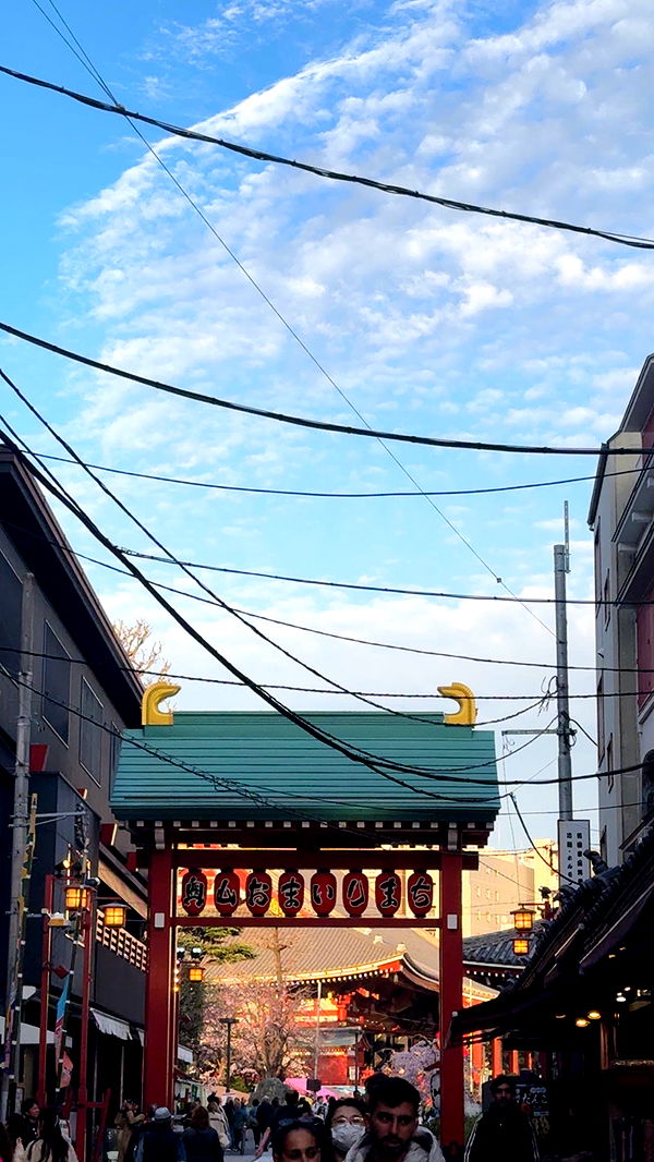 caroworld00 image ~ Altpins