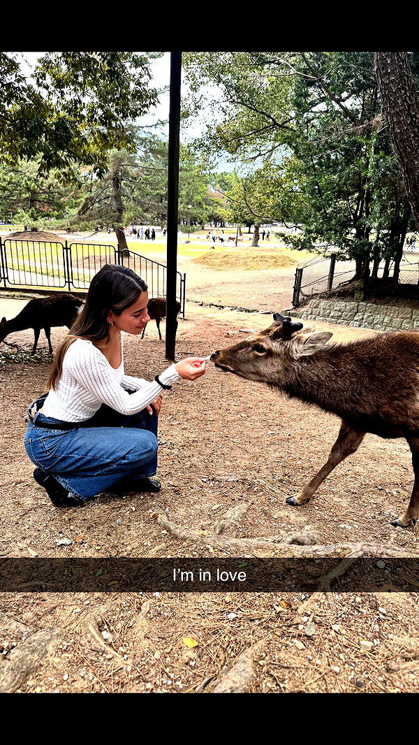 caroworld00 image ~ Altpins