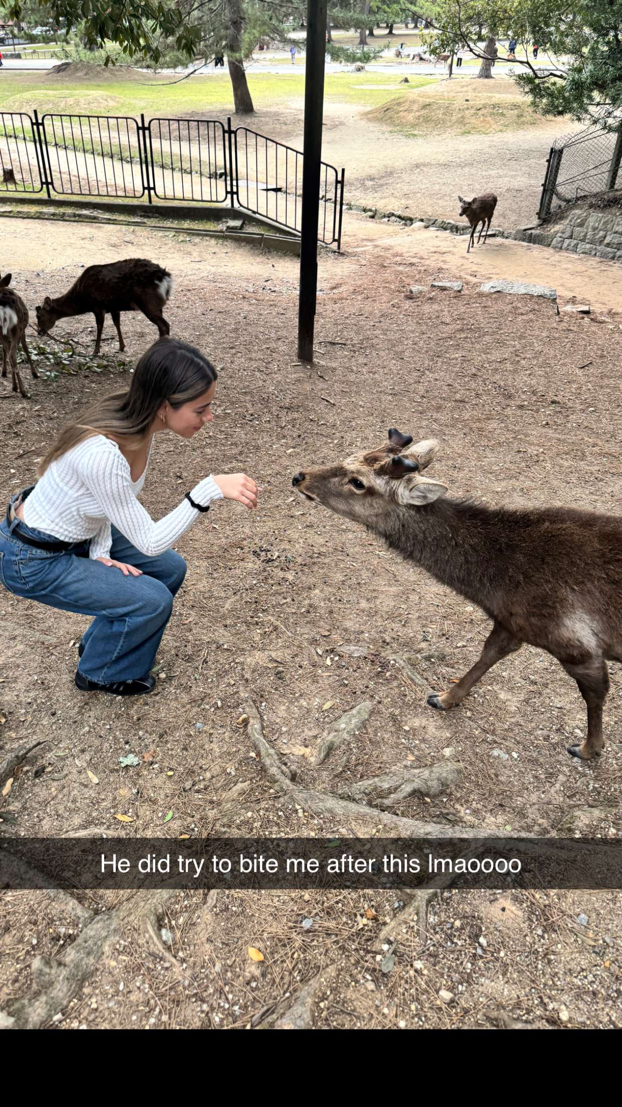 caroworld00 snapchat image archive image