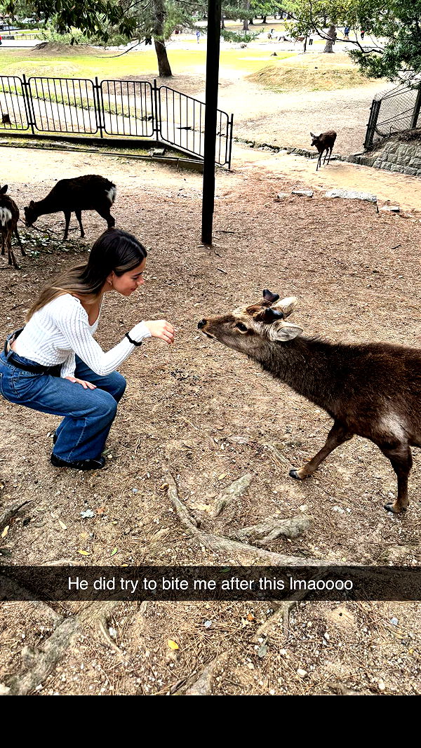 caroworld00 image ~ Altpins