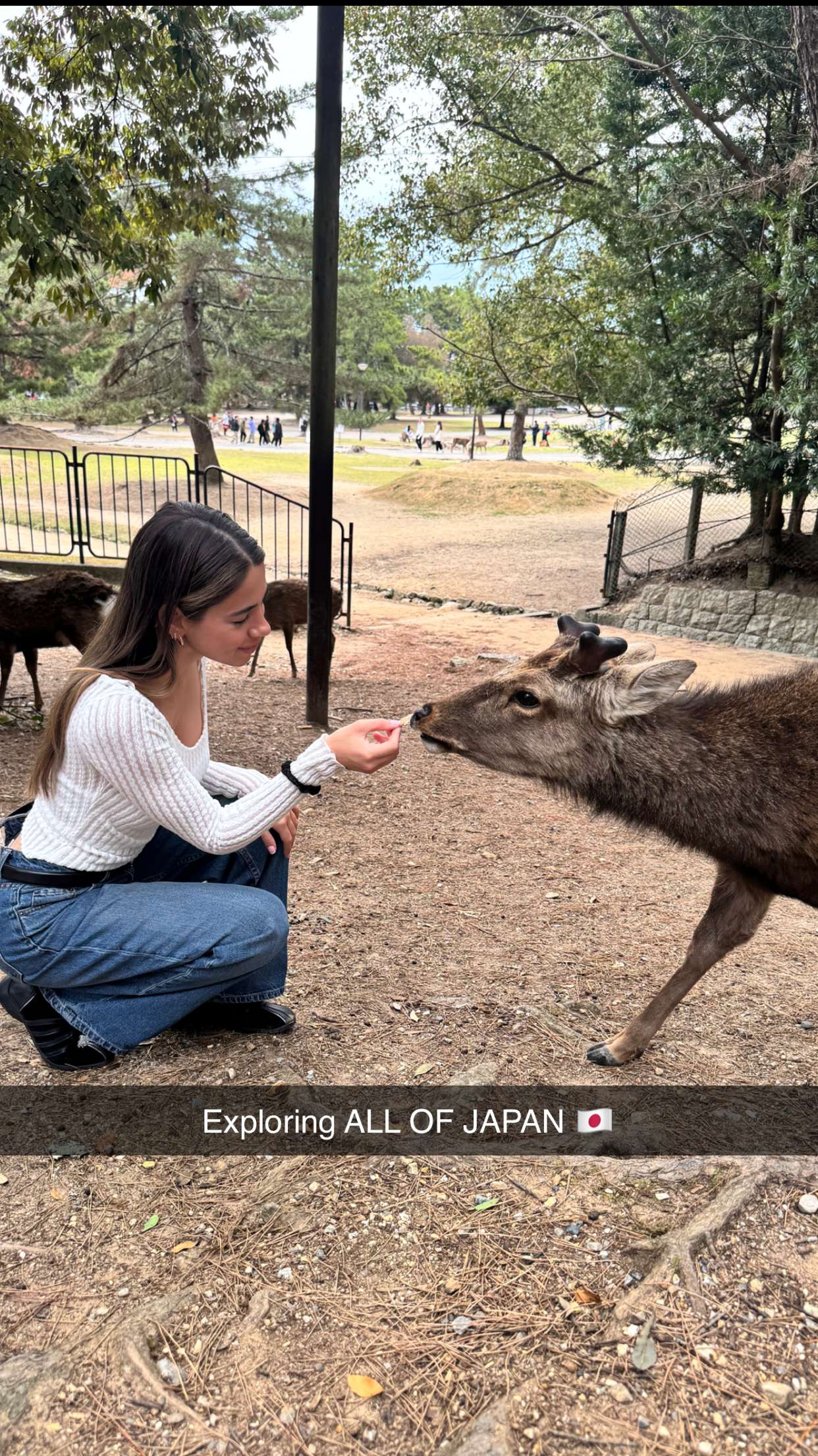 caroworld00 snapchat image archive image