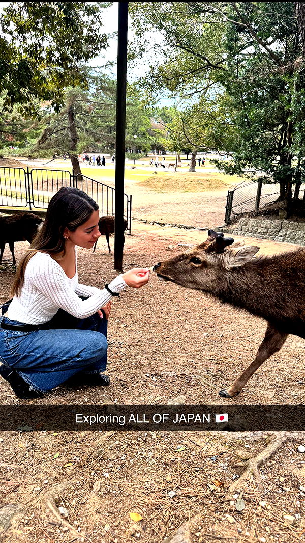 caroworld00 image ~ Altpins