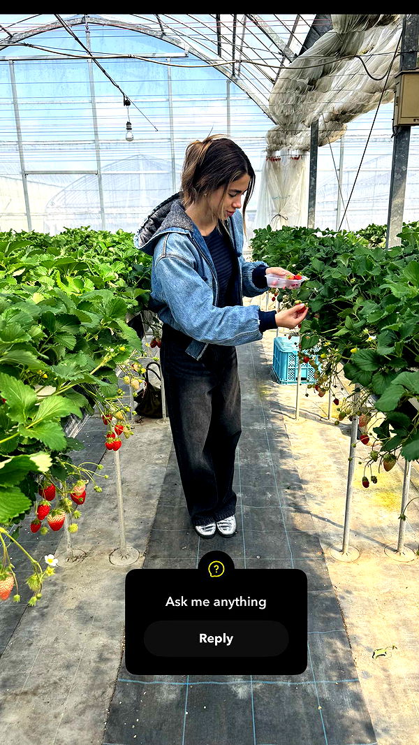 caroworld00 image ~ Altpins