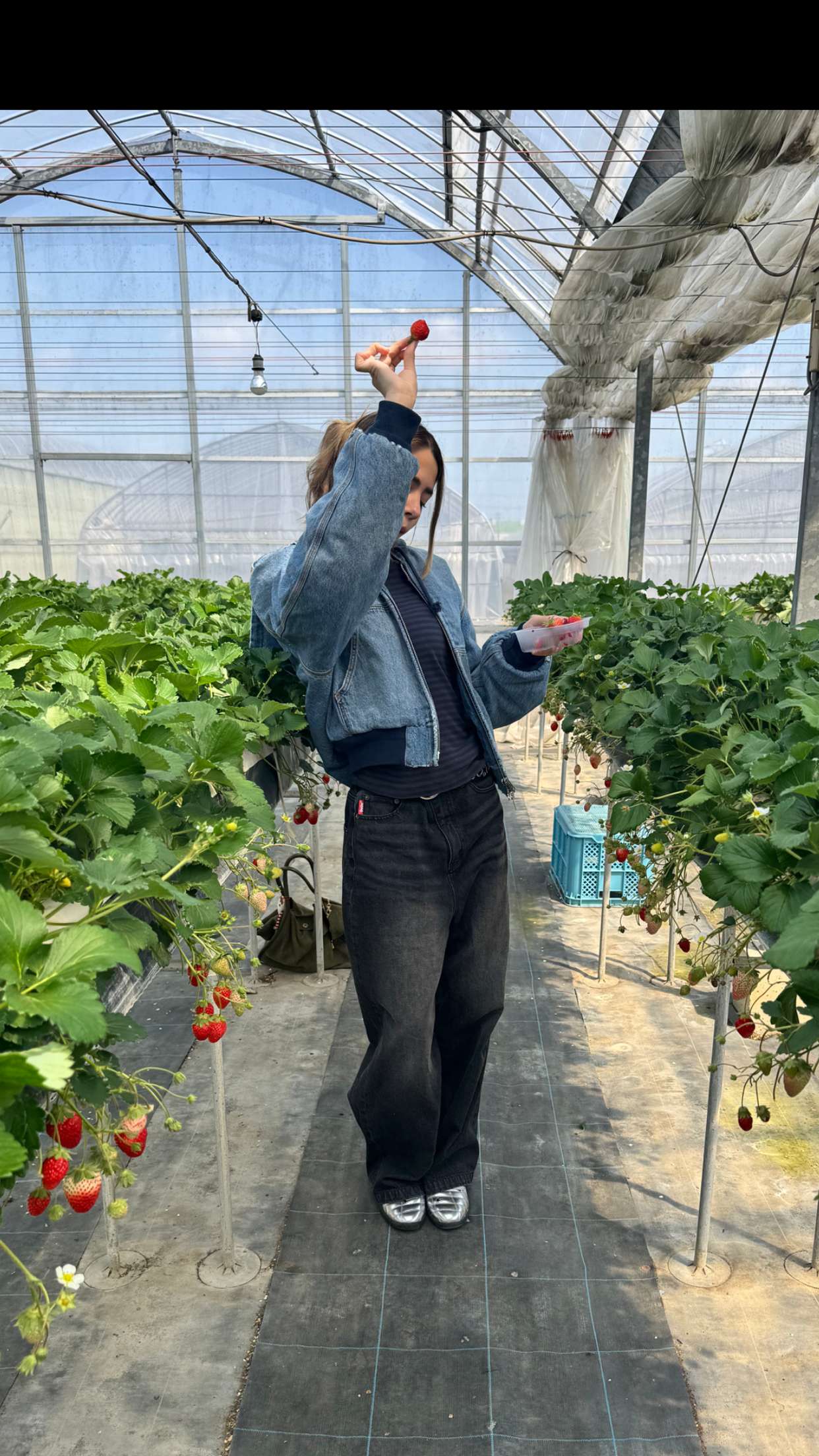 caroworld00 snapchat image archive image