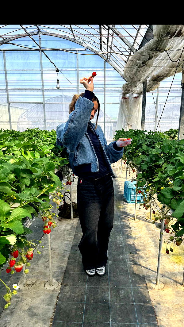 caroworld00 image ~ Altpins