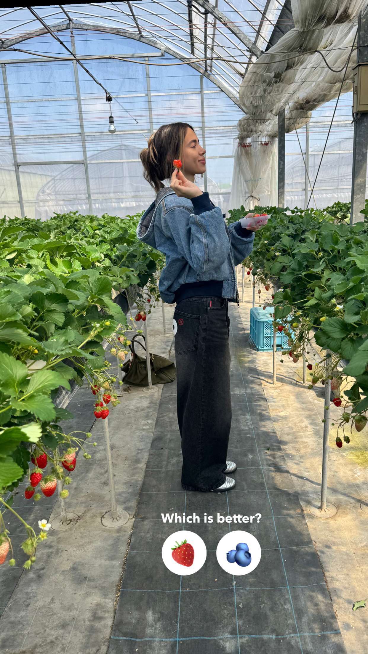 caroworld00 snapchat image archive image