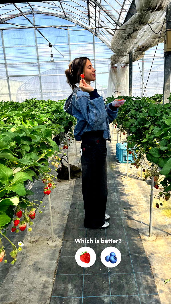 caroworld00 image ~ Altpins