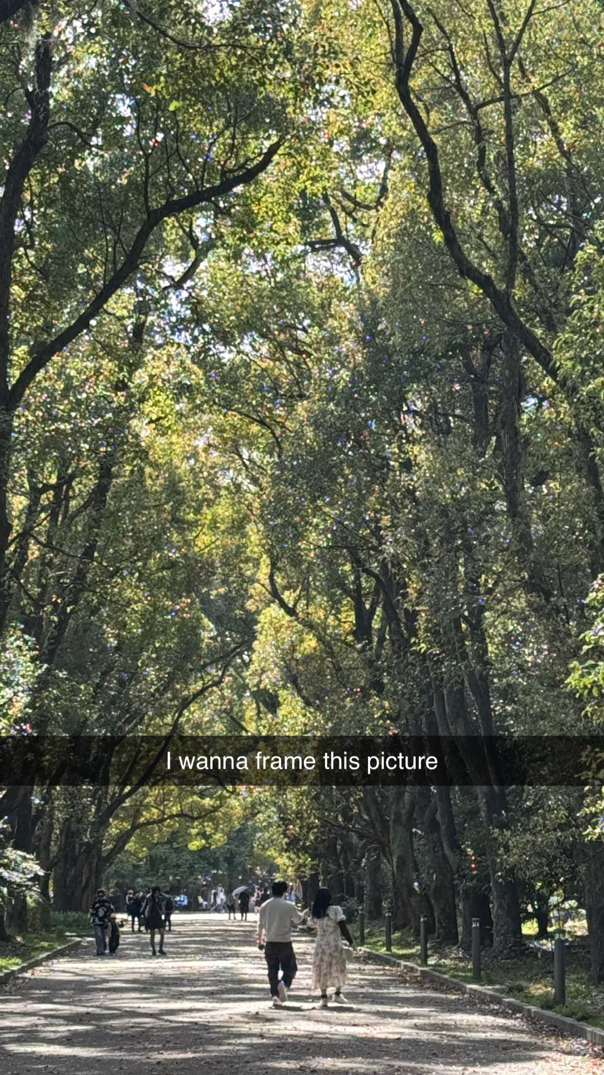 caroworld00 snapchat image archive image