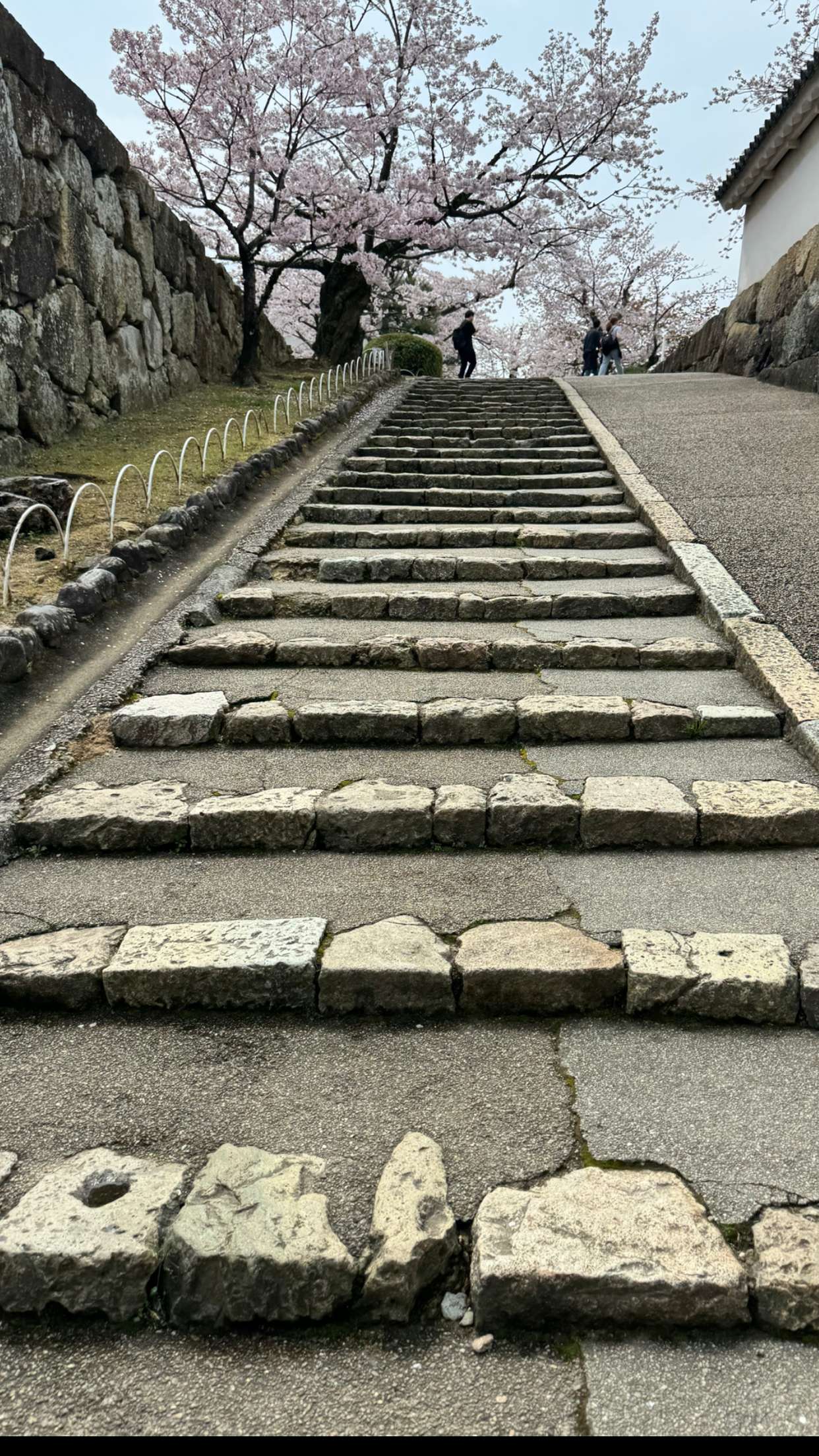 caroworld00 snapchat image archive image