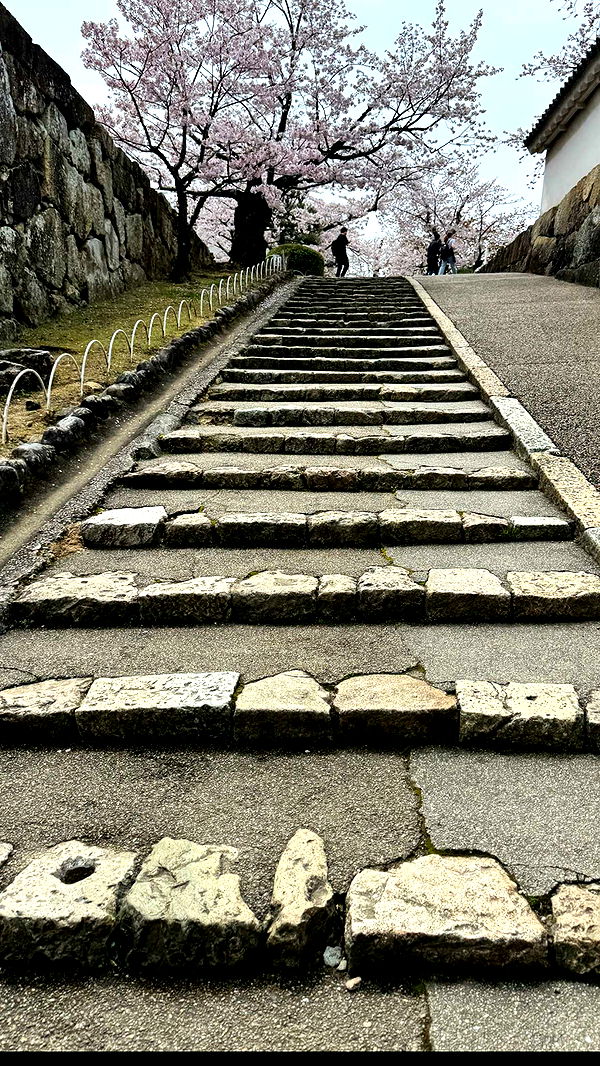 caroworld00 image ~ Altpins