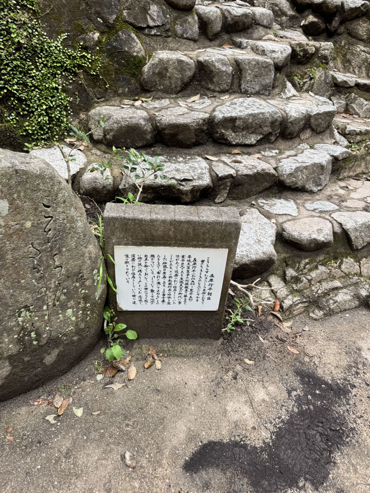 caroworld00 snapchat image archive image