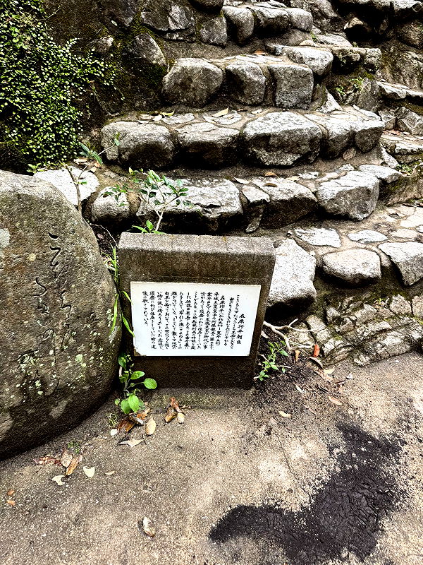 caroworld00 image ~ Altpins