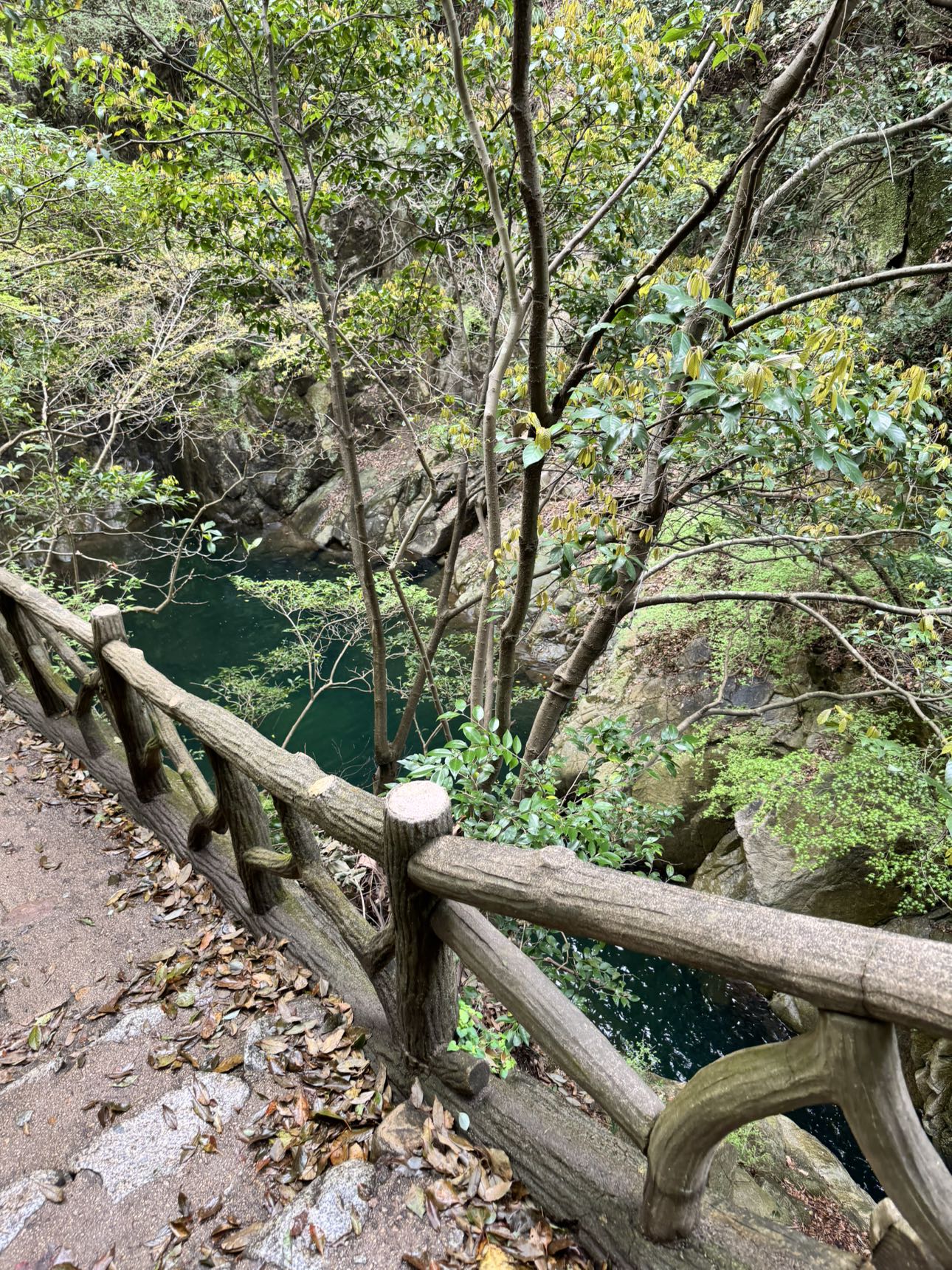 caroworld00 snapchat image archive image