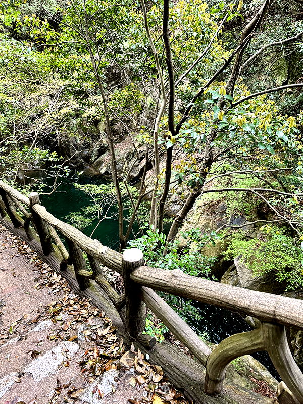 caroworld00 image ~ Altpins