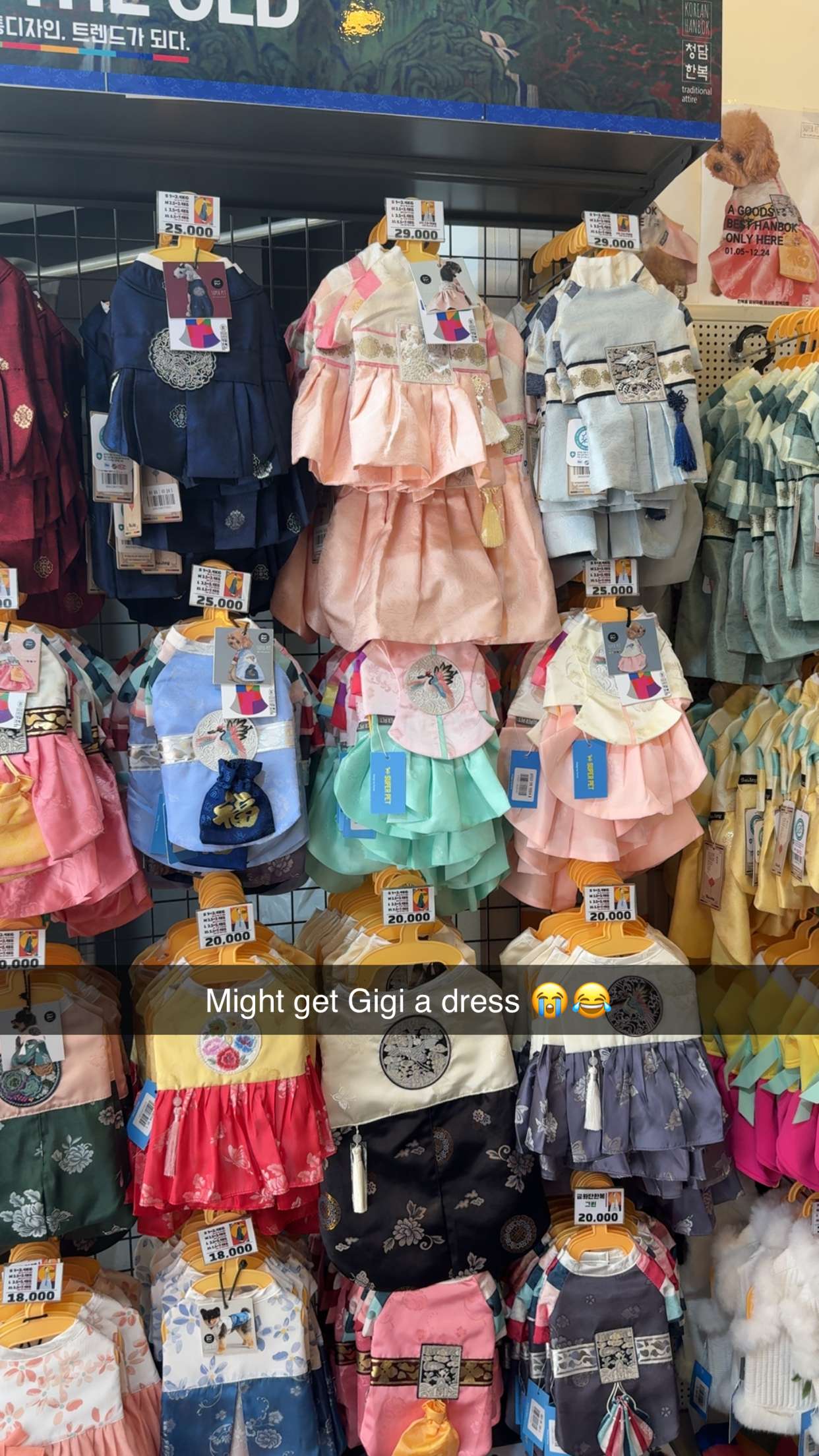 caroworld00 snapchat image archive image