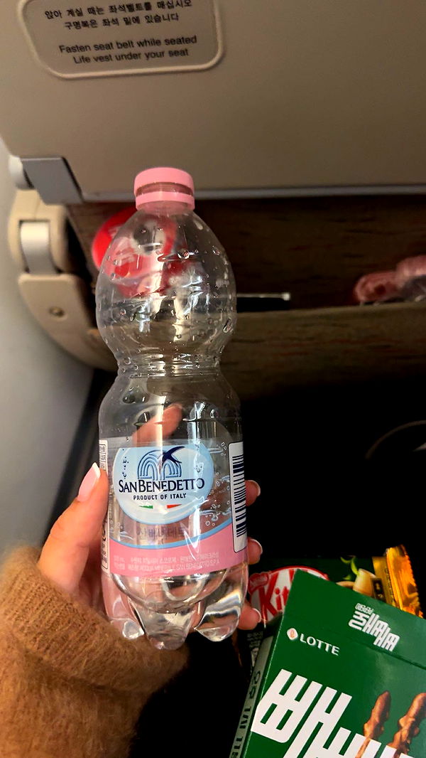 caroworld00 image ~ Altpins