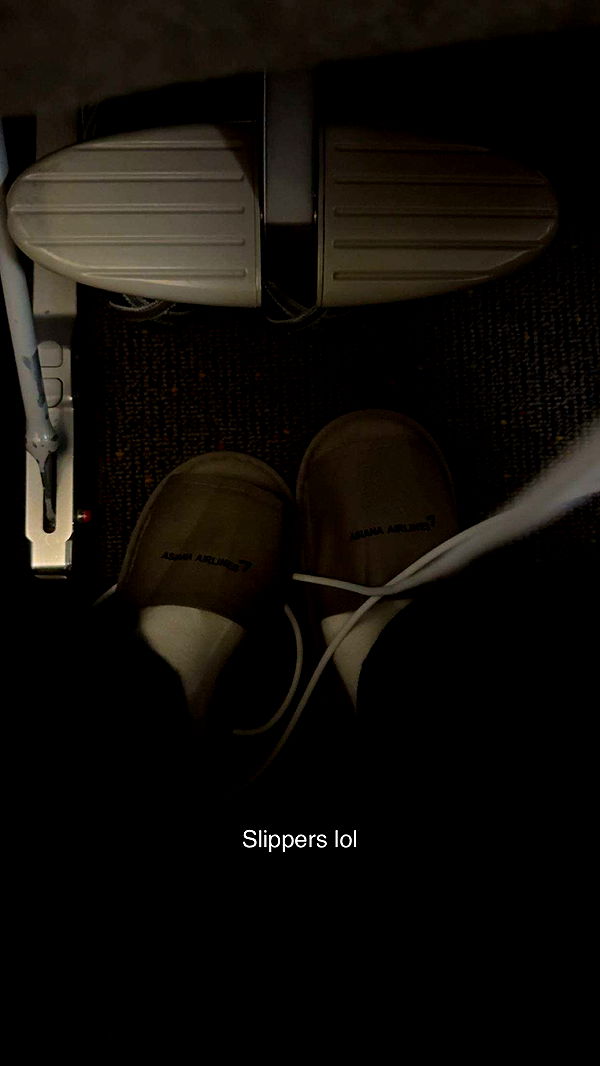 caroworld00 image ~ Altpins