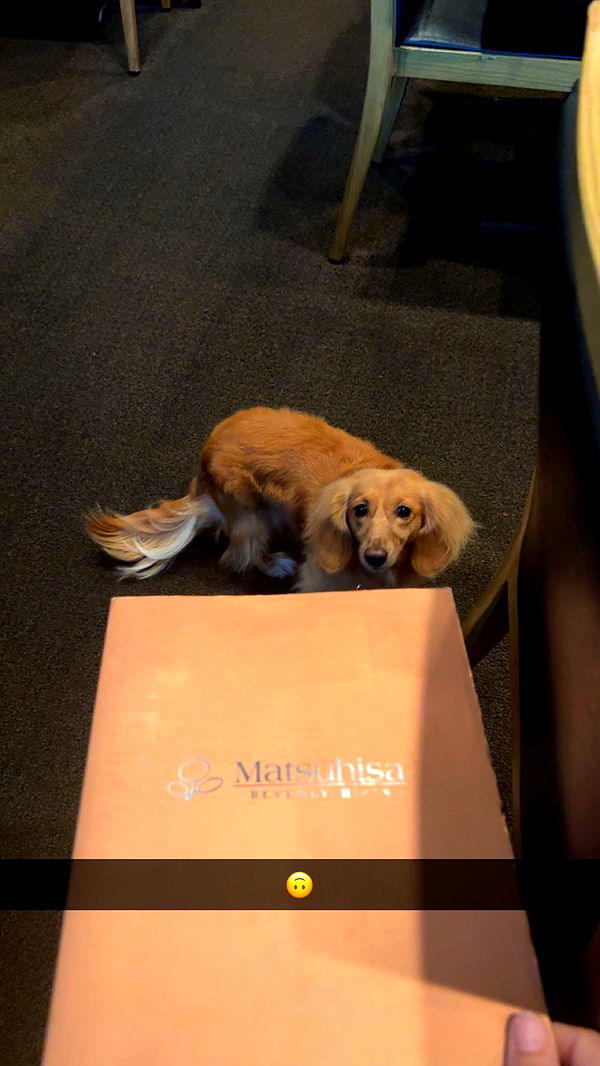 caroworld00 image ~ Altpins