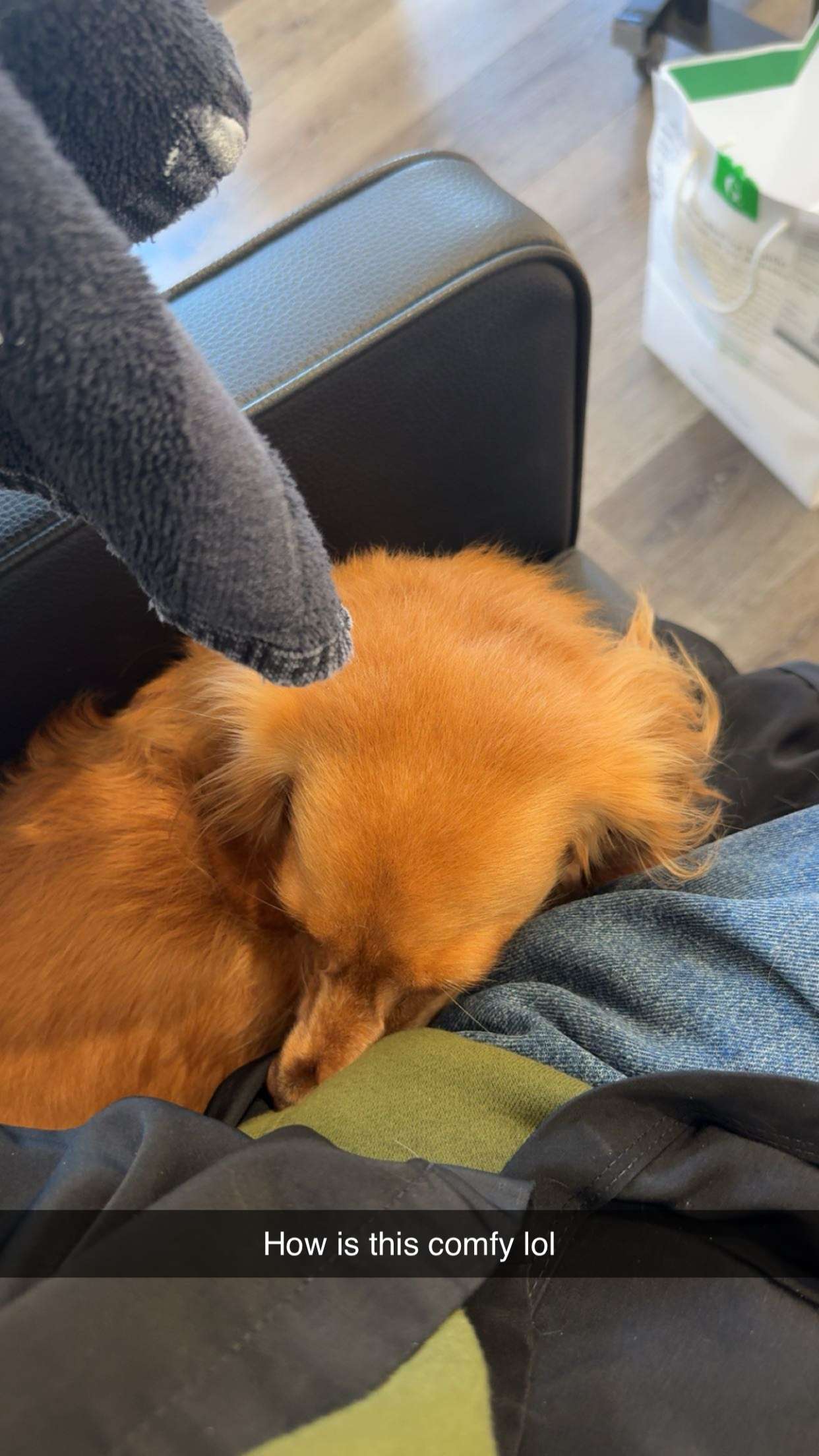 caroworld00 snapchat image archive image