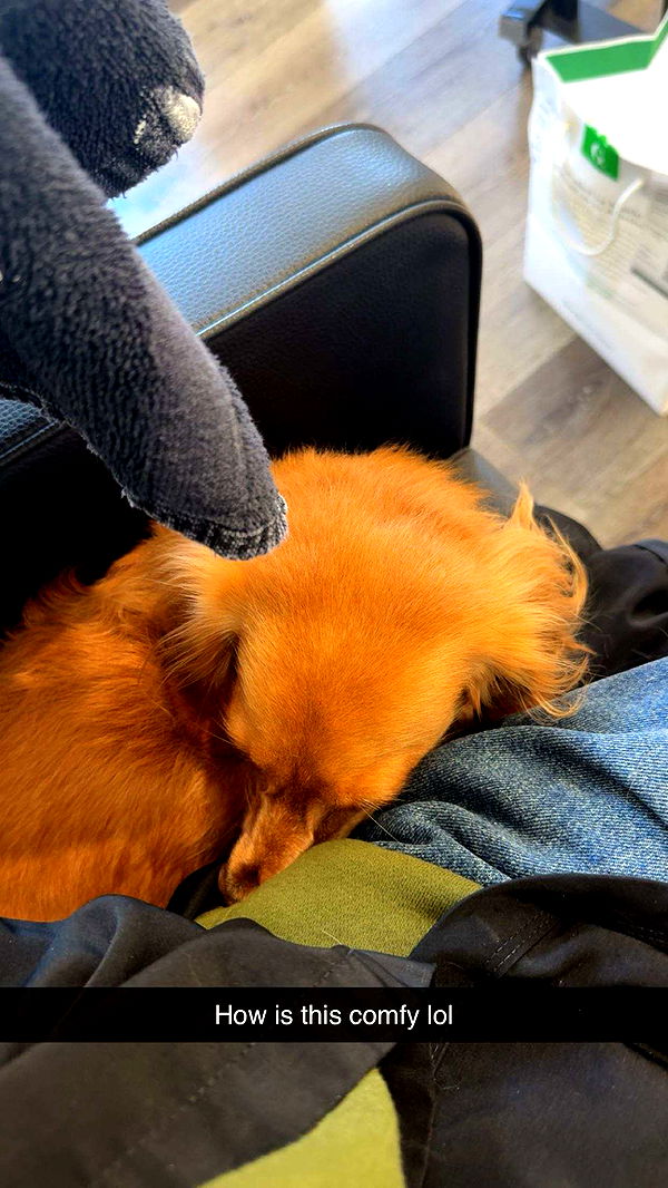 caroworld00 image ~ Altpins