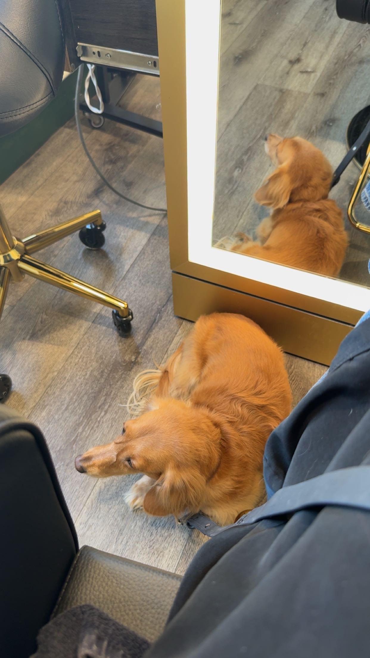 caroworld00 snapchat image archive image