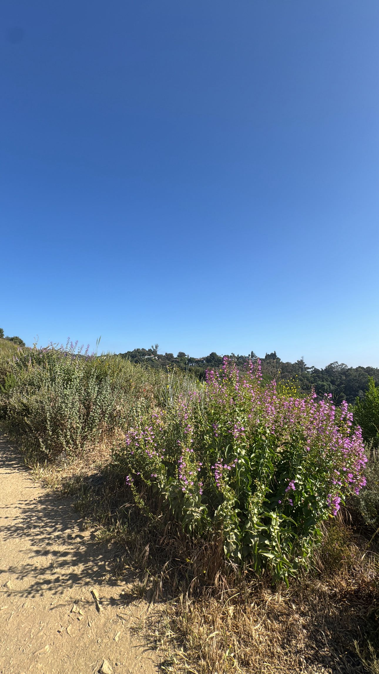 caroworld00 snapchat image archive image