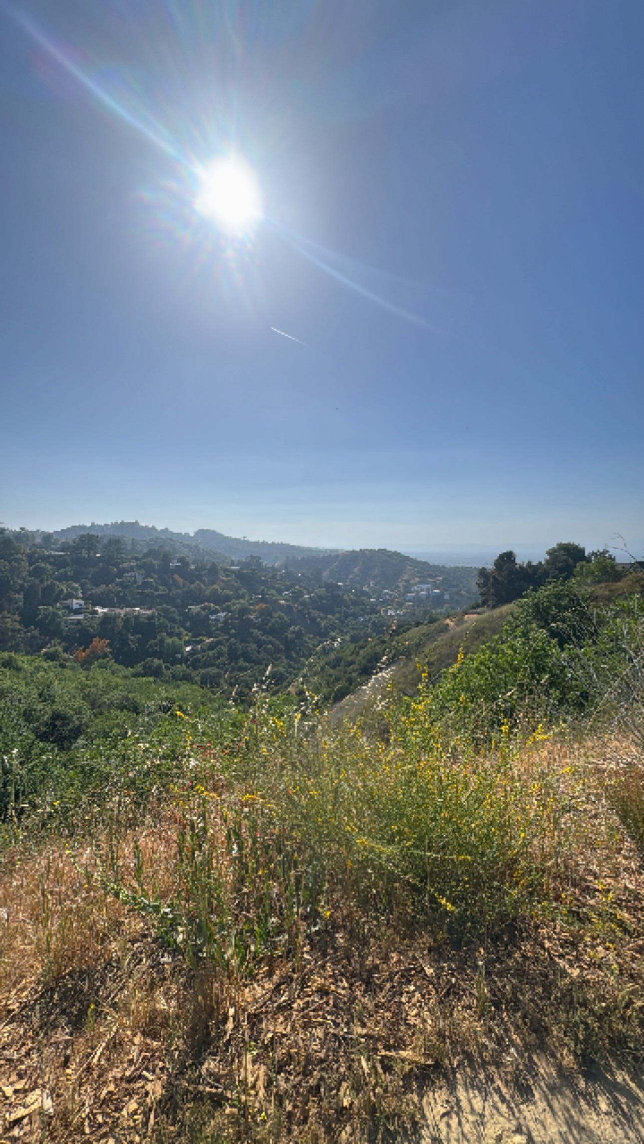 caroworld00 snapchat image archive image