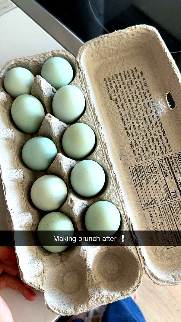 caroworld00 image ~ Altpins