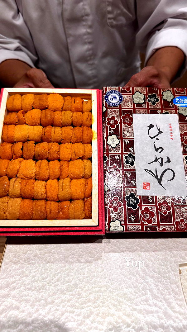 caroworld00 image ~ Altpins