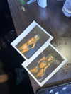 cclaire.bbear1 Altpins Profile Picture