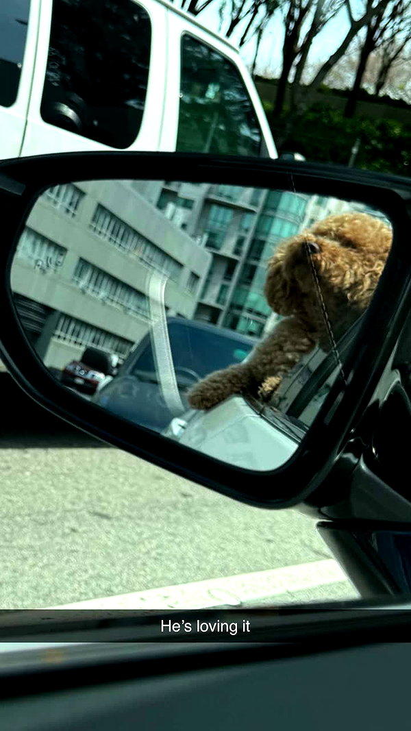 cclaire.bbear1 snapchat image archive image