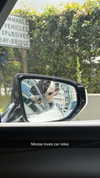cclaire.bbear1 Altpins Profile Picture