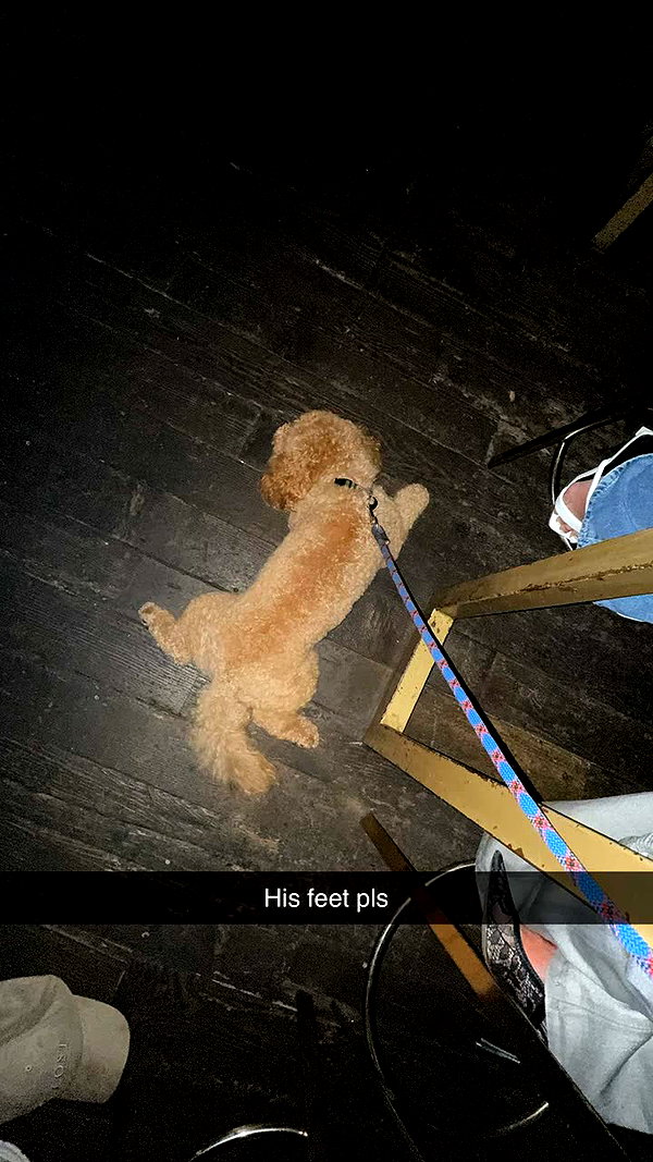 cclaire.bbear1 snapchat image archive image