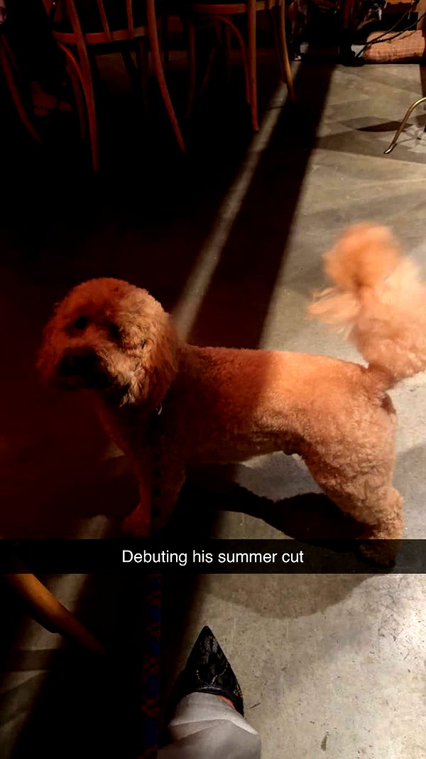 cclaire.bbear1 snapchat image archive image