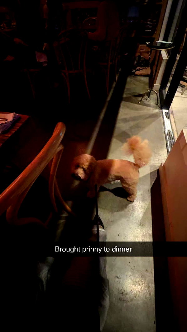 cclaire.bbear1 snapchat image archive image