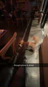 cclaire.bbear1 Altpins Profile Picture